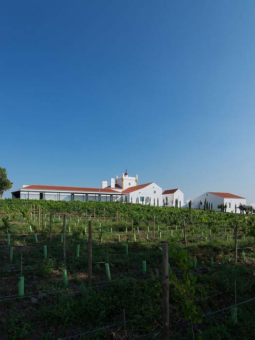 Hotel w regionie Alentejo - Portugalia